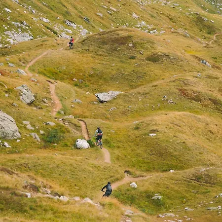 - Self Check-in アローザ